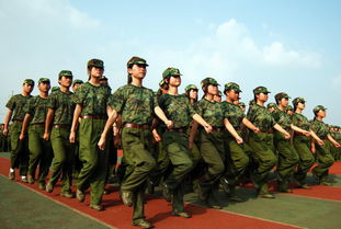 军事化团队拓展训练课程总结与反思